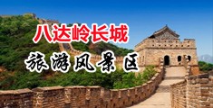 WWW,粉红逼,COM中国北京-八达岭长城旅游风景区